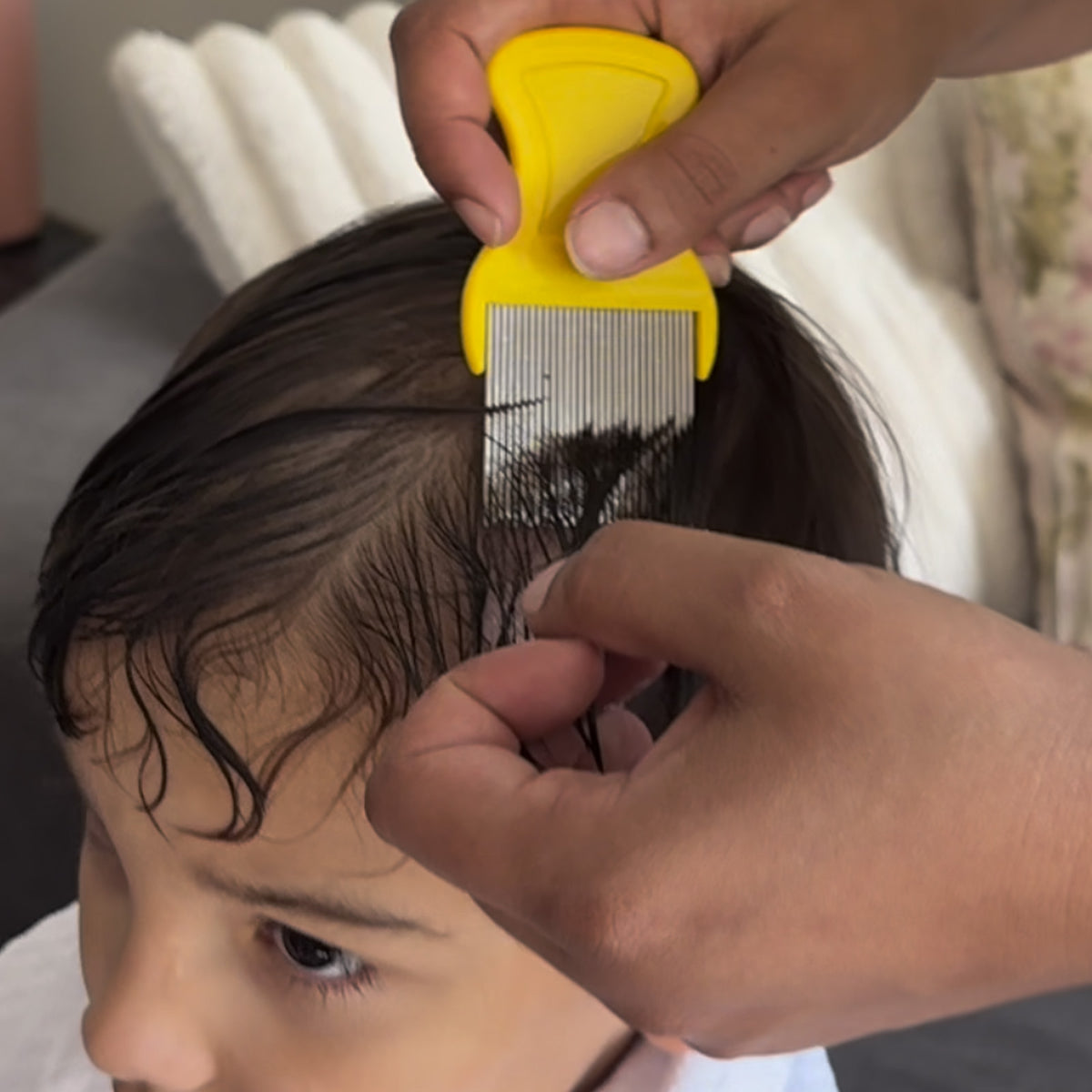 Applying LiceBomb head lice treatment to the hair and scalp